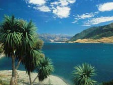 Polynesien, Neuseeland: Naturwunder - Erlebnisreise - Palmenstrand
